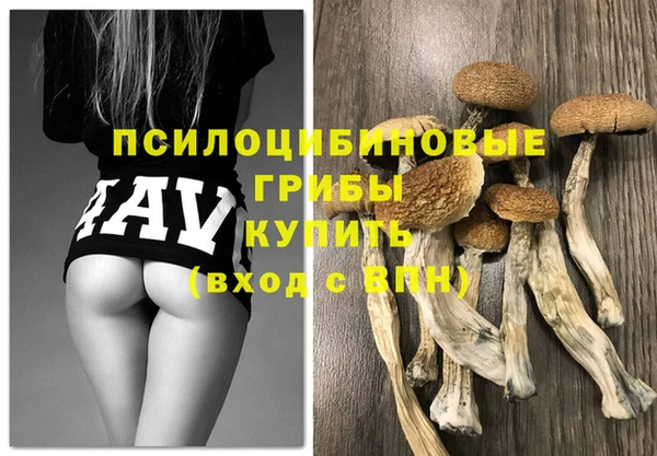мдма Бородино