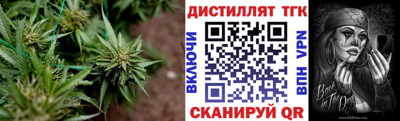 где найти наркотики  MEGA как войти  Дистиллят ТГК THC oil  Первомайск 